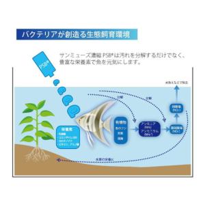 PSB 1L 3本セット サンミューズ バクテ...の詳細画像3