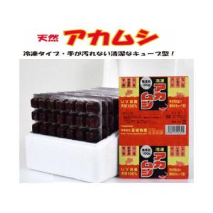 冷凍餌 天然アカムシ 100ｇ 富城物産 冷凍赤虫