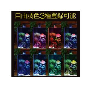 マルチカラーLED II 600 ゼンスイ 淡...の詳細画像3