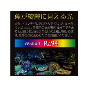 マルチカラーLED II 600 ゼンスイ 淡...の詳細画像4