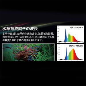 水中マルチカラーLED 900 ゼンスイ 水中...の詳細画像5