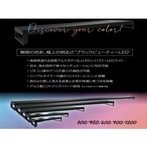 ヴィータ 1200 Viiita ゼンスイ L...の詳細画像1