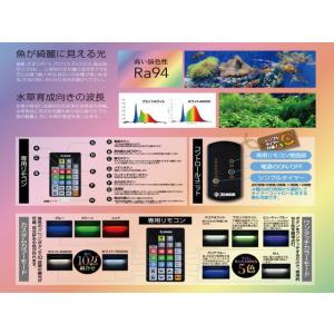 ヴィータ 1200 Viiita ゼンスイ L...の詳細画像2