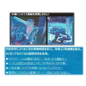 ナノスキマーコンパクト ゼンスイ プロテインス...の詳細画像4