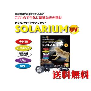 ソラリウム UV 50W メタルハライドランプセット ゼンスイ