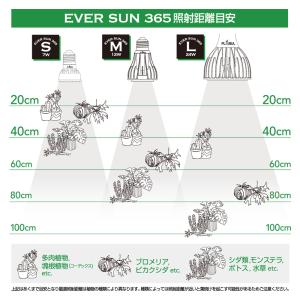 Ever Sun365 MB 昼白色 12W ...の詳細画像2