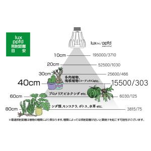 Ever Sun365 MB 昼白色 12W ...の詳細画像3