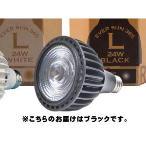 Ever Sun365 LB 昼白色 24W ...の詳細画像1