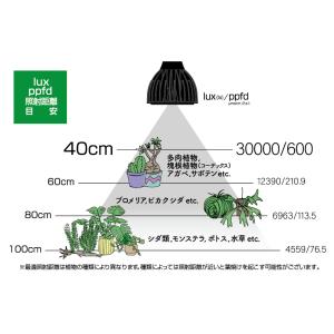 Ever Sun365 LB 昼白色 24W ...の詳細画像2