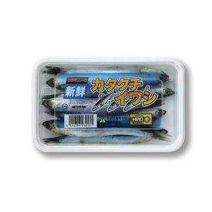 釣りエサ　ヒロキュー　新鮮冷凍カタクチイワシ　約120ｇ　釣りえさ用冷凍商品｜aquacube2