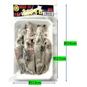 釣りえさ 冷凍スルメイカ 10匹入り 釣りエサ...の詳細画像1