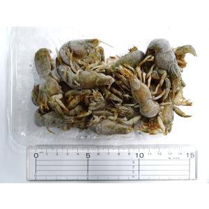 釣りえさ 冷凍ゲンダ(カメジャコ・アナジャコ)...の詳細画像1