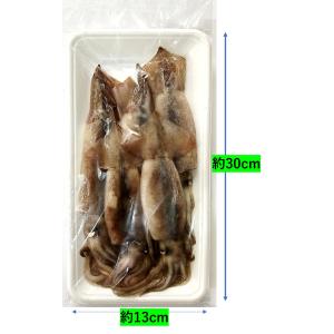 釣りえさ 冷凍スルメイカ 5匹入り 釣りエサ用...の詳細画像1
