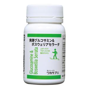 【4箱】ワカサプリ ビタミンC 30包 ワカサプリ ビタミンC 30包入り（約30日分） : アクアキューブ