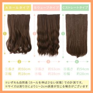 部分ウィッグ エクステ 襟足ウィッグ 3typ...の詳細画像3