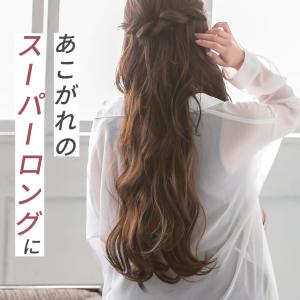 部分ウィッグ エクステ 襟足 ウィッグ ロング...の詳細画像3