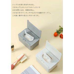 ウェットティッシュ ケース ワンタッチ 密閉 ...の詳細画像1