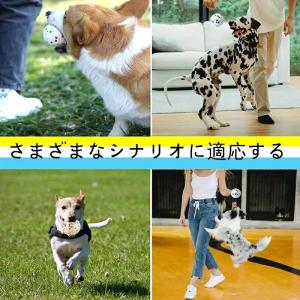 犬 おもちゃ ボール 噛むおもちゃ 投げる ボ...の詳細画像2