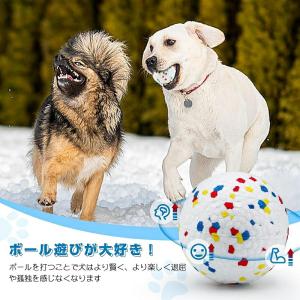 犬 おもちゃ ボール 噛むおもちゃ 投げる ボ...の詳細画像3
