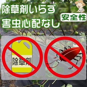 防草シート 厚手 5年耐久 Uピン杭 黒丸付き...の詳細画像3