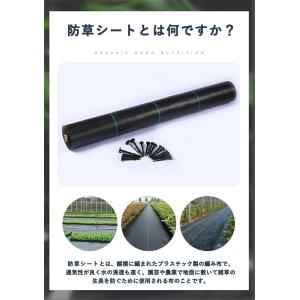 防草シート 1m×15m ブラック 雑草対策 ...の詳細画像1