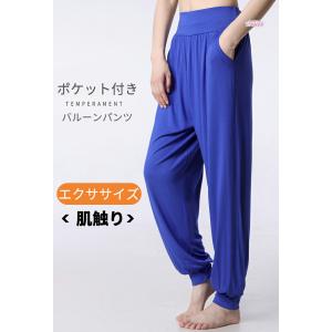 太極拳パンツ 太極拳ズボン メンズ レディース...の詳細画像1