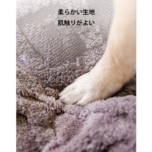 ペットベッド ペットクッション ふわふわ 両面...の詳細画像3