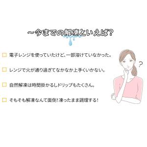 【即納】 まな板 急速解凍 プレート 解凍板 ...の詳細画像1
