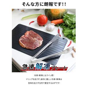 【即納】 まな板 急速解凍 プレート 解凍板 ...の詳細画像2