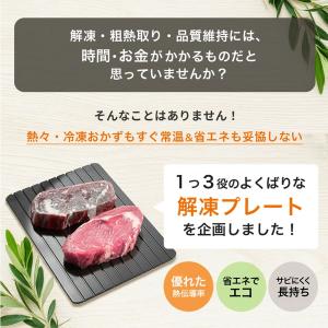 【即納】 まな板 急速解凍 プレート 解凍板 ...の詳細画像4