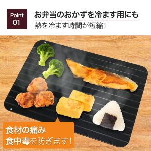【即納】 まな板 急速解凍 プレート 解凍板 ...の詳細画像5