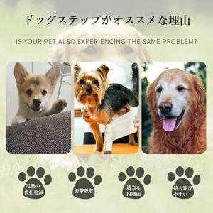 ドッグステップ 犬 階段 ペットステップ 踏み...の詳細画像1