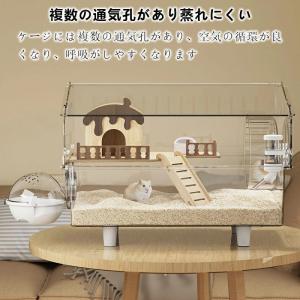 爆買い キンクマハムスター ケージ 透明 大型...の詳細画像2