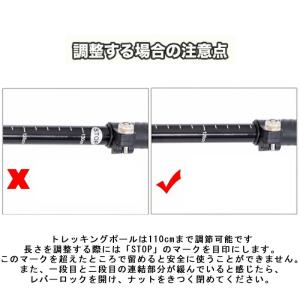 【 折りたたみ式 軽量 】 トレッキングポール...の詳細画像5