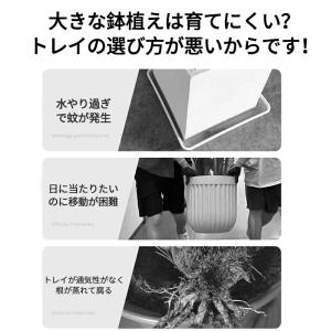爆買い 観葉植物 台 植木鉢 受け皿 キャスタ...の詳細画像1