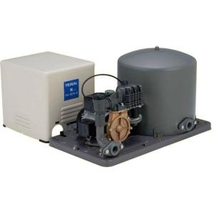 TERAL　深井戸用電気井戸ポンプ　PG-302FDC　未使用 テラル PG-302FDC 深井戸用ポンプ [50/60hz共通][単相100V][出力300W