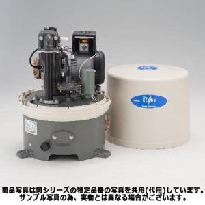 テラル 40PLA-5.25S 排水水中ポンプ PL型 自動式 単相100 【50Hz
