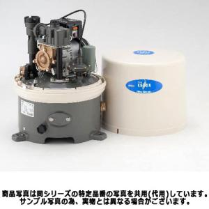 テラル WP-S156T-1 水道加圧装置用ポンプ (150W/単相100V/60Hz
