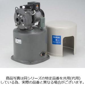 テラル PG-307F-5 深井戸用ポンプ （単相100V/300W/50hz） TERAL N