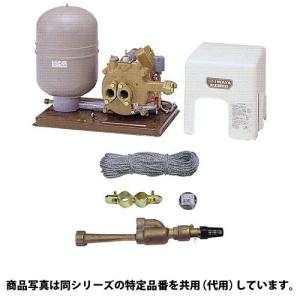 イワヤポンプ JPS-256-60 （深井戸ポンプ） + 4J18B3 (吸上高さ18m 砲金ジェット) セット [60hz用/単相100V/出力250W]