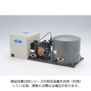 浅深両用[非自動]ポンプ（C-K750NS） C-K750NS：日立の家電品