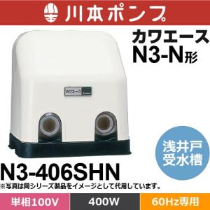 川本ポンプ NR255S カワエース 浅井戸・受水槽用ポンプ (単相100V