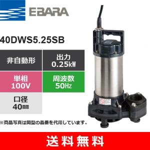 荏原製作所（EBARA） 50DWS5.4B (非自動形 50Hz 三相・200V) 樹脂製
