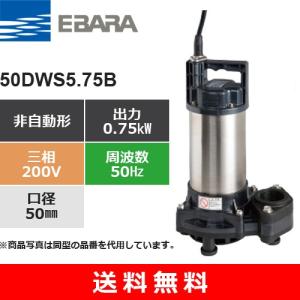 荏原製作所（EBARA） 50DWS5.4B (非自動形 50Hz 三相・200V) 樹脂製