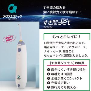 AQUA（アクア）オゾン水スプレー（業務用）高濃度オゾン生成（水道水