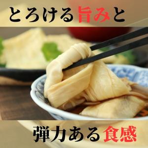 湯葉 20cm×20cm 20枚 冷凍品 ゆば...の詳細画像2
