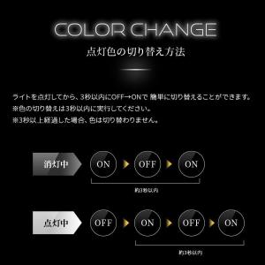 日本ライティング カラーチェンジ 2色切り替え...の詳細画像3