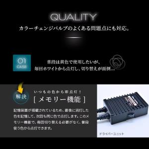 日本ライティング カラーチェンジ 2色切り替え...の詳細画像4