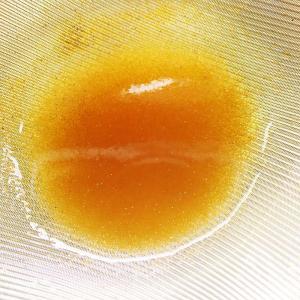 活ブラインシュリンプ500ml【微生物/餌/水槽/】の詳細画像2