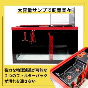 両面から鑑賞できる120cmオーバーフロー水槽...の詳細画像4